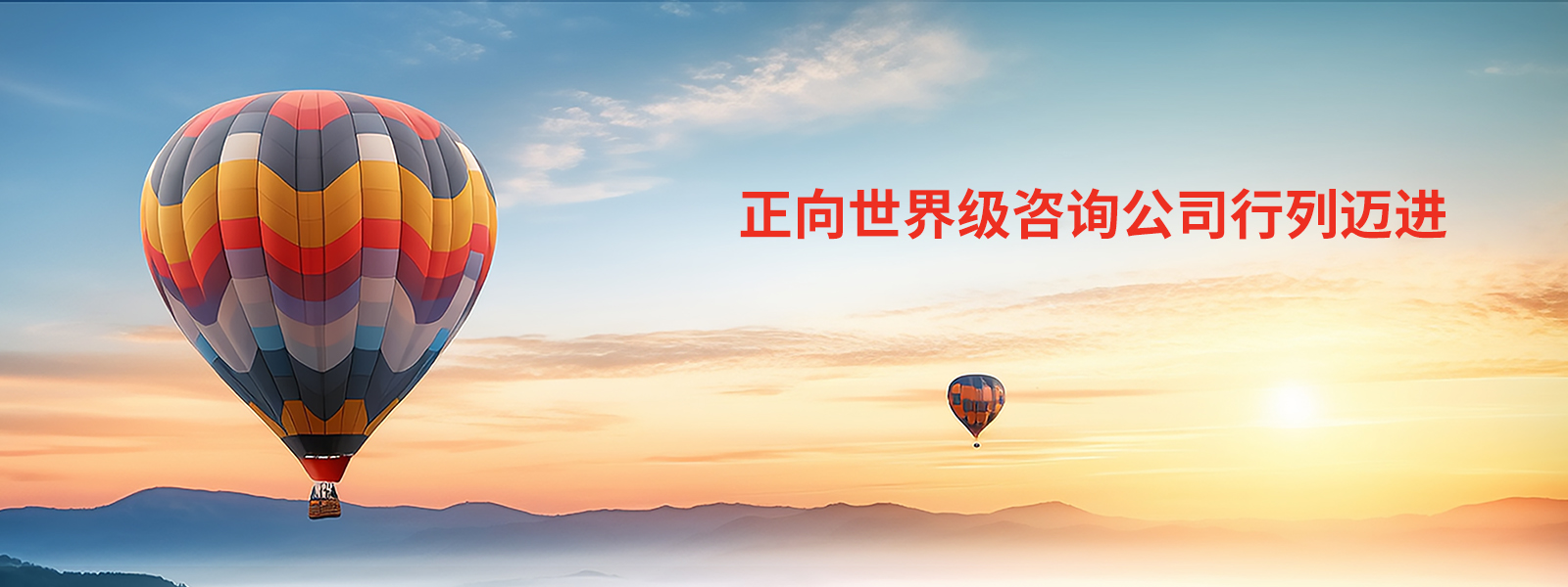 中大咨詢集團(tuán)簡(jiǎn)介