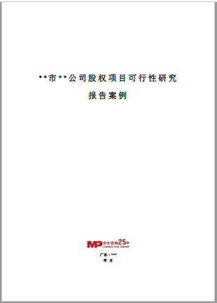 中大咨詢：某市某公司股權(quán)項目可行性研究報告