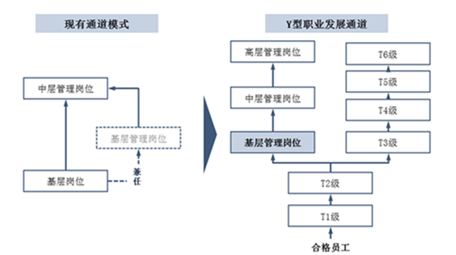 中大咨詢:打造多通道職業(yè)發(fā)展體系 中大咨詢:打造多通道職業(yè)發(fā)展體系