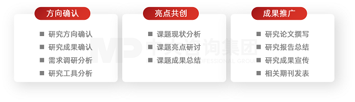 中大咨詢黨建專題研究解決方案