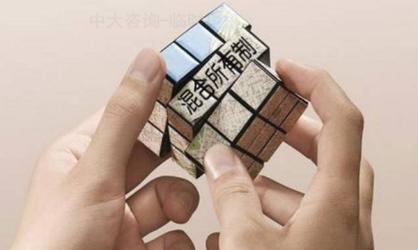 中大咨詢：混合所有制