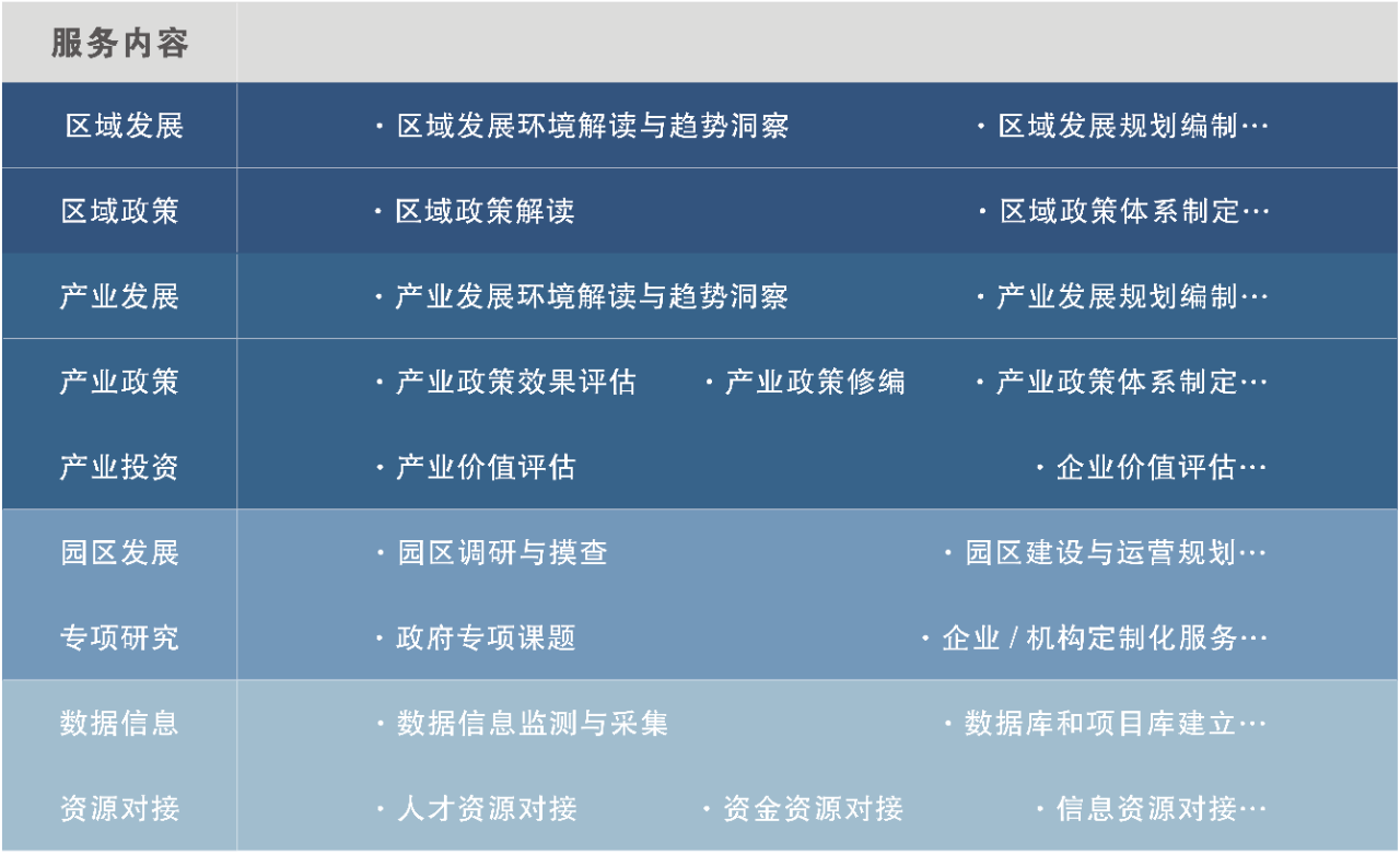 中大咨詢：武漢市國資國企改革發(fā)展“十四五”規(guī)劃項目專家評審會順利召開，中大咨詢對規(guī)劃內(nèi)容作全面介紹