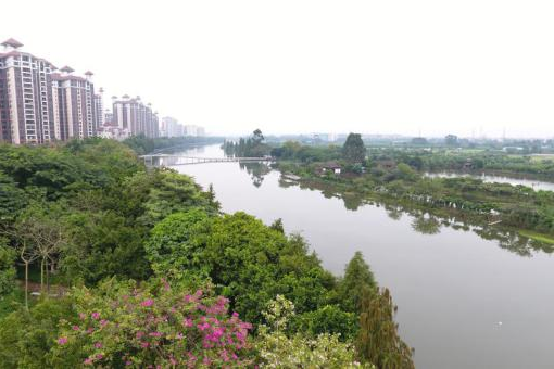 中大咨詢：順德高質(zhì)量發(fā)展體制機(jī)制改革創(chuàng)新實(shí)驗(yàn)區(qū)建設(shè)再結(jié)碩果，順德國資國企改革站上新臺(tái)階