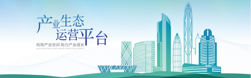 中大咨詢深福保集團“十四五”戰(zhàn)略規(guī)劃項目