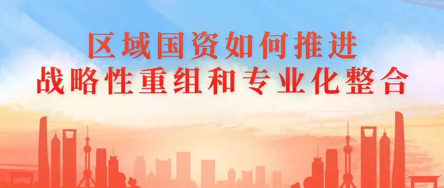 區(qū)域國資如何推進戰(zhàn)略性重組和專業(yè)化整合