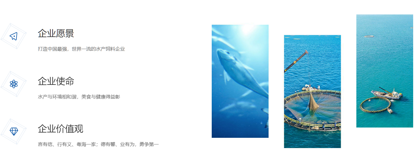 中大咨詢助力粵海飼料企業(yè)文化升級，助力實(shí)現(xiàn)發(fā)展戰(zhàn)略目標(biāo)