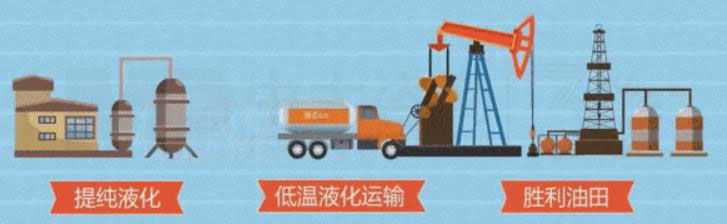 碳中和道路上的最強(qiáng)輔助?揭開“碳匯”的神秘面紗 碳中和道路上的最強(qiáng)輔助?揭開“碳匯”的神秘面紗