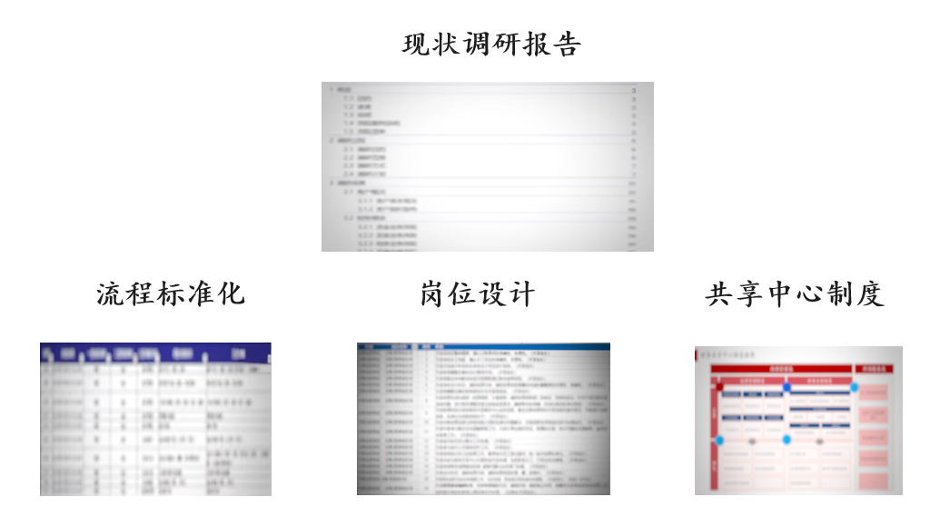 沙鋼集團財務(wù)共享規(guī)劃咨詢項目