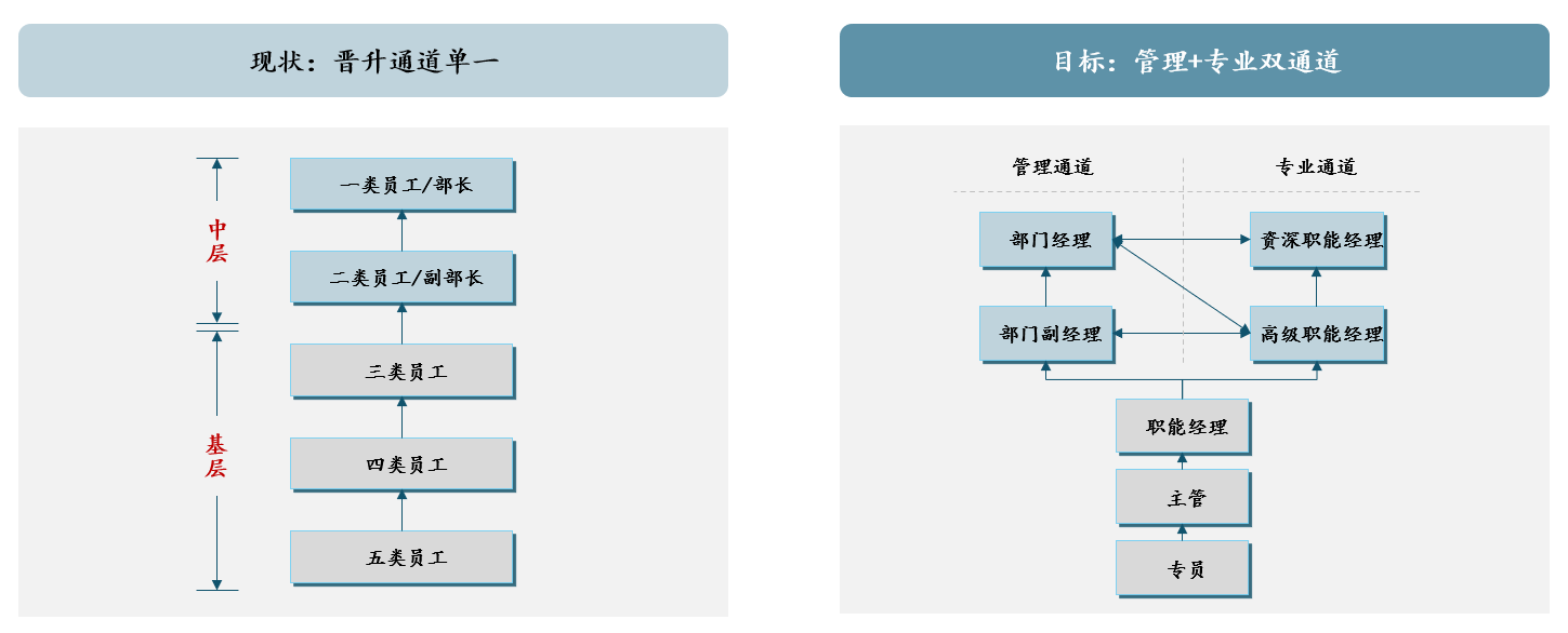  圖 3 打造“管理+專業(yè)”雙通道，中大咨詢整理