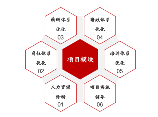 某軍工高科技民企全面管理提升項(xiàng)目