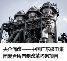 重組項目可行性研究