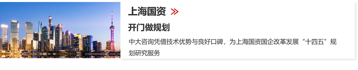 國有資本中長期規(guī)劃