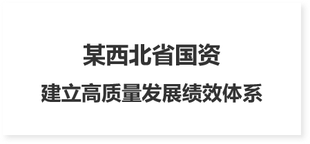 國有資本中長期規(guī)劃