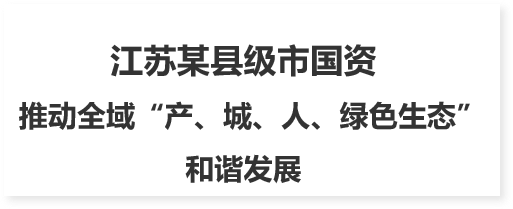 國有資本中長期規(guī)劃