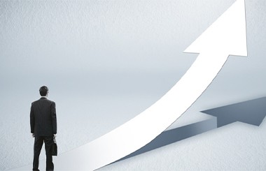 企業(yè)專項領域合規(guī)管理咨詢