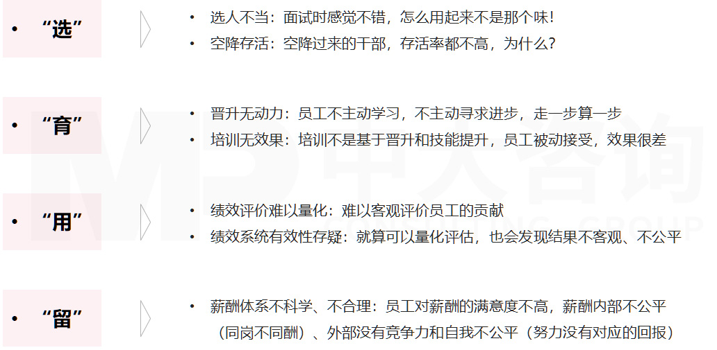 直播電商專項(xiàng)服務(wù) 直播電商專項(xiàng)服務(wù)