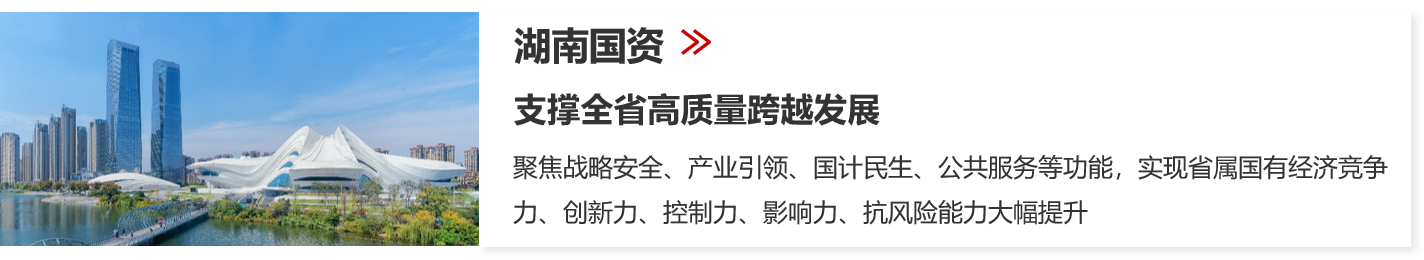 國有資本中長期規(guī)劃