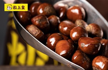 粒上皇食品：戰(zhàn)略規(guī)劃、人力資源優(yōu)化、人才培養(yǎng)、流程重塑項(xiàng)目