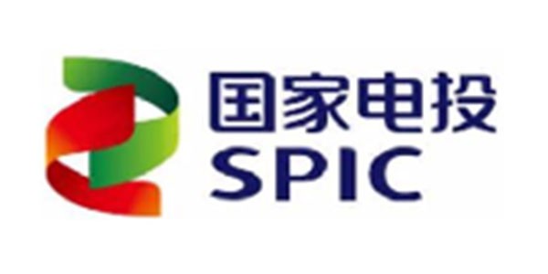 國(guó)家電投